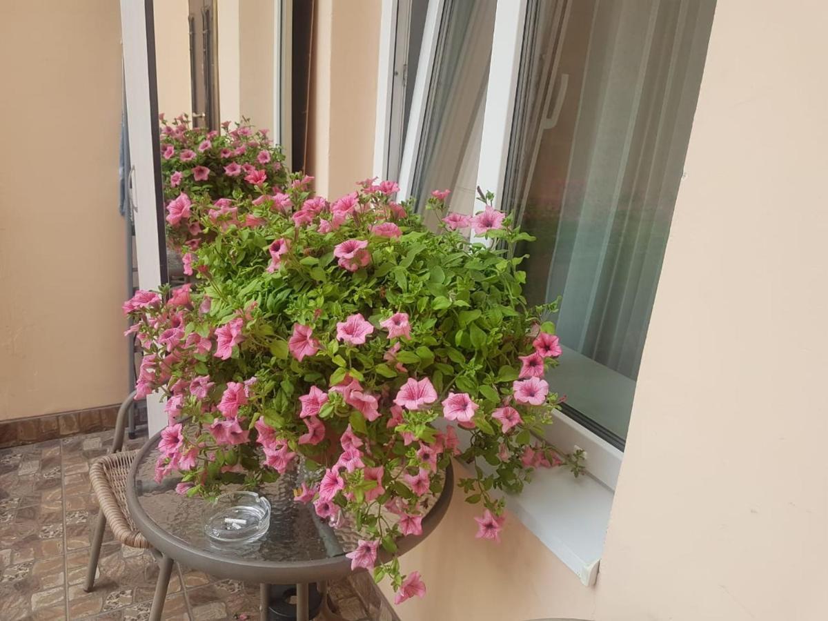 Golden Rose ! Apartments Lwów Zewnętrze zdjęcie